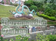 Philippine-Women-1177