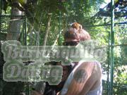 Philippine-Women-1624