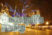 ukraine-women-12-08-280
