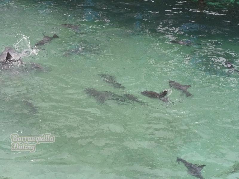 colombian-women-city-tour-48